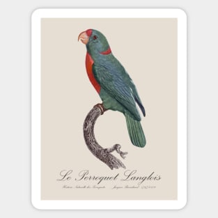 Le Perroquet Langlois Parrot - 19th century Jacques Barraband Illustration Sticker